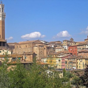 SIENA (TOSCANA)