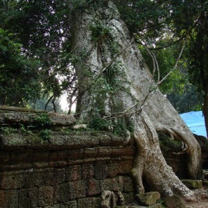 Ta Prohm, Καμπότζη