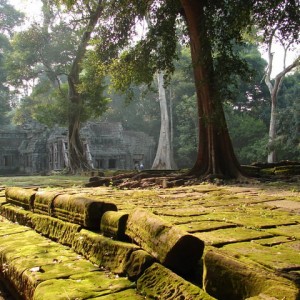 Ta Prohm, Καμπότζη