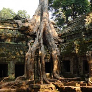 Ta Prohm, Καμπότζη