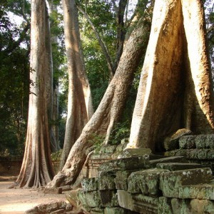 Ta Prohm, Καμπότζη