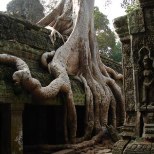 Ta Prohm, Καμπότζη