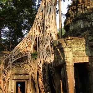 Ta Prohm, Καμπότζη