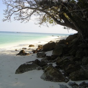 Bamboo Island