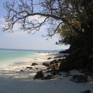 Bamboo Island