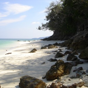 Bamboo Island