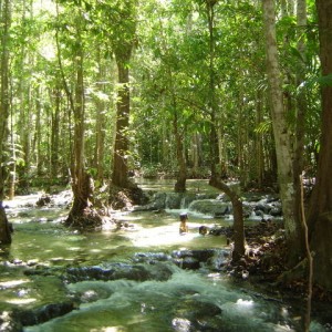 Thermal Spring Pools