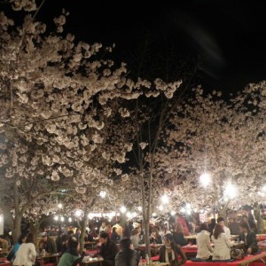 Πάρκο Maruyama, Kyoto