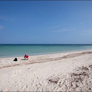 Cuba - Cayo Jutias