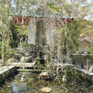 Στο ναό Tenryu-ji, Kyoto