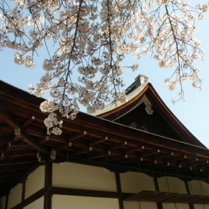 Στο ναό Tenryu-ji, Kyoto