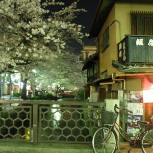 Περιοχή Pontocho, Kyoto