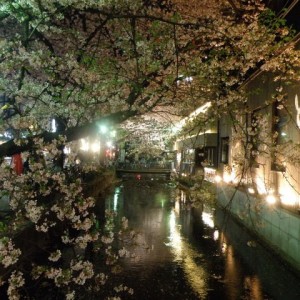 Περιοχή Pontocho, Kyoto