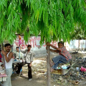 A Family in Benares (India, Varanasi)
