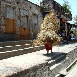 Hard Working Woman (Nepal, Kathmandu)