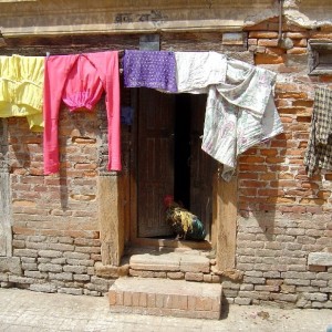 Rooster's Home (Nepal, Kathmandu)