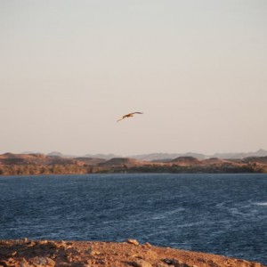 Λίμνη Νάσερ