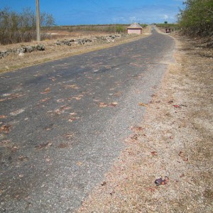 Cuba - η σφαγή των καβουριών