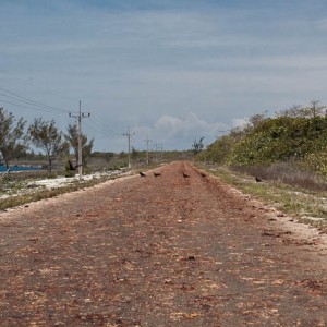 Cuba - η σφαγή των καβουριών