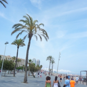 Barceloneta