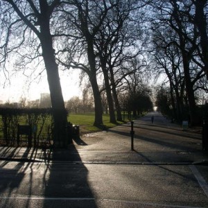 Regent's  Park