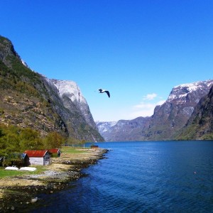 Sognefjord