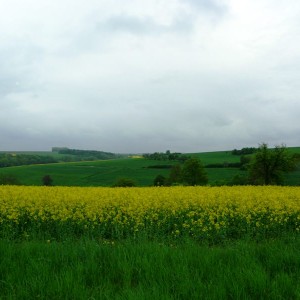 Romantische Strasse Προς Rothenburg o.d.T.