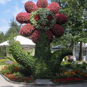 INSEL MAINAU - ΛΟΥΛΟΥΔΙ