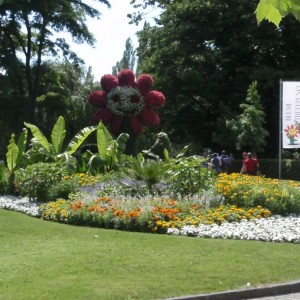 INSEL MAINAU.