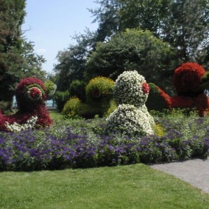 INSEL MAINAU - ΠΑΠΑΚΙΑ