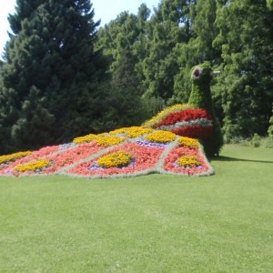 INSEL MAINAU - ΠΑΓΟΝΙ