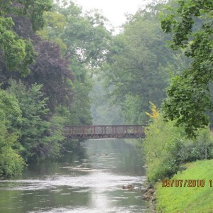 Donaueschingen_Black_forest