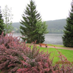 Titisee_Black_forest