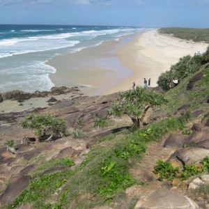 Fraser island