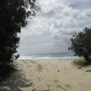 Fraser island