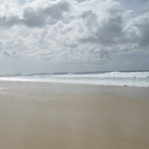 Fraser island