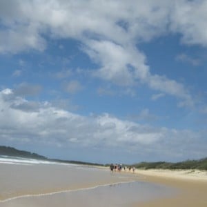 Fraser island