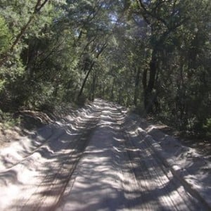 Fraser island