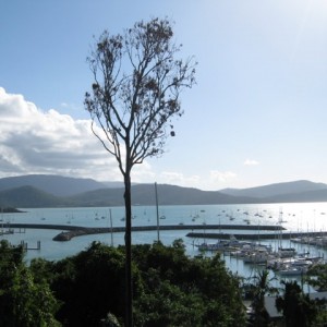 Airlie beach