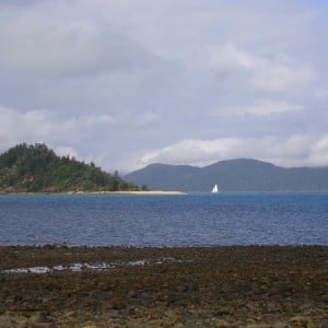 Planton Island