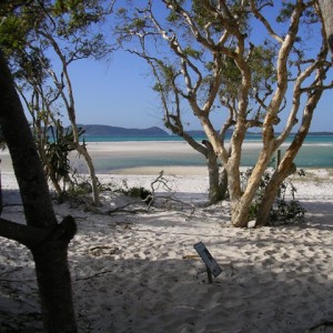 Whitsunday Island