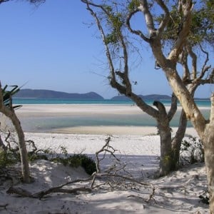 Whitsunday Island