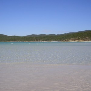 Whitsunday Island