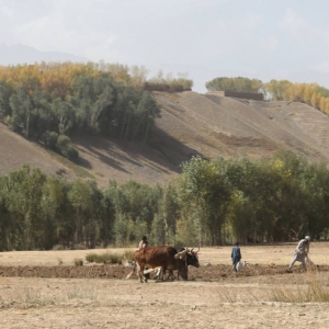 Bamyan