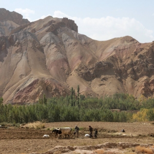 Bamyan