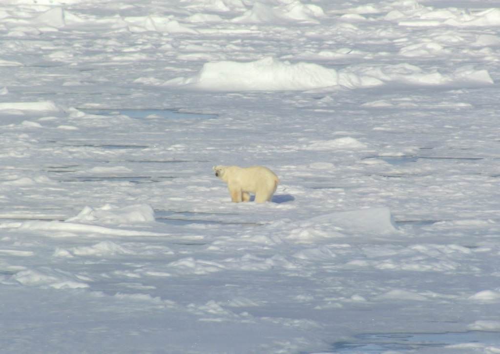 Αρχιπέλαγος Svalbard - Αρκτική