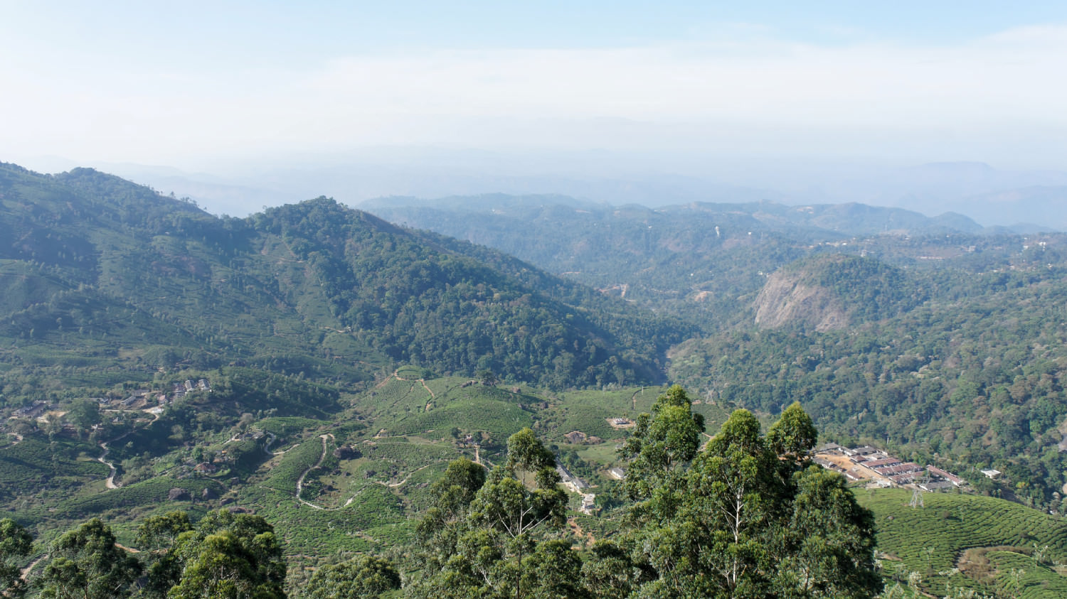 Η θέα από το κατάλυμμά μας. Munnar, Kerala