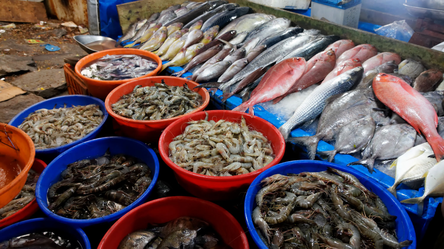 Ιχθυοπωλεία. Fort Kochi, Kochi, Kerala