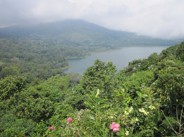 Λιμνη Buyan, Bali