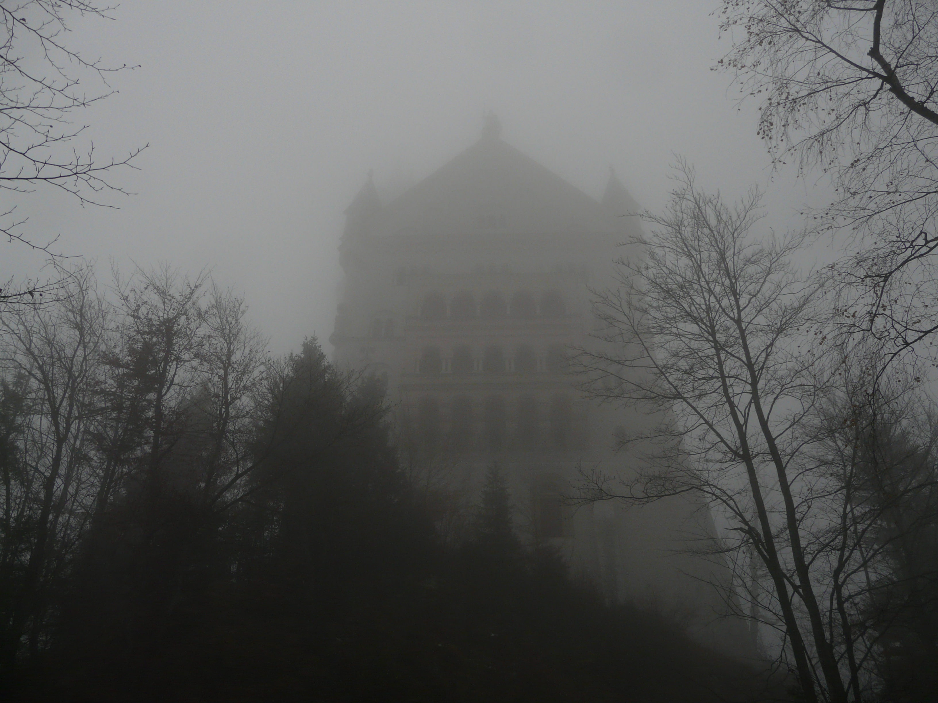 Νeuschwanstein στην ομιχλη..